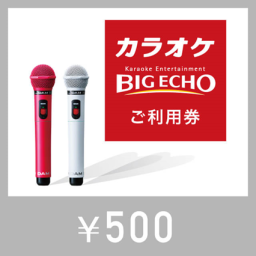 カラオケ ビッグエコー　デジタルご利用券500