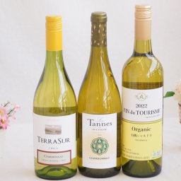 産地別白ワインシャルドネ3本セット(テラスル(チリ) ヴァン ドゥ ツーリズム有機(スペイン) レ タンヌ オクシタン(フランス)) 750ml×3本