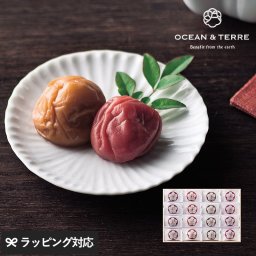 OCEAN ＆ TERRE Premium 紀州南高梅 16粒 木箱入り NR-03031 梅干し贈り物/おしゃれ/甘いもの以外/親戚 上司/内祝い 引き出物/お礼 お返し/母の日 2025 プレゼント ギフト 花以外 実用的 メッセージカード/