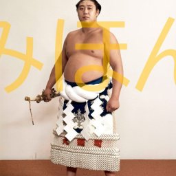 若乃花幹士関　優勝ミニ額 大相撲ミニ額 大相撲優勝額　昭和５３年１１月場所 全勝 横綱 若乃花幹士関（２回目の優勝） ※受注生産品のため、ご注文後はいかなる理由でも返品、返金はできません