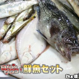 鮮魚セット 2kg 業務用 居酒屋 送料無料 北海道産 ※沖縄送料別途加算