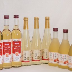 りんごワイン9本セット(信州林檎シードル アップルワイン 信州のりんごワイン) 500ml×9本