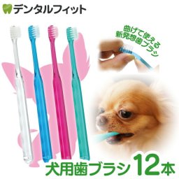 犬用 歯ブラシ / Ci シュワワ / 4色アソート/12本セット【Ciメディカル 歯ブラシ】 (メール便2点まで)【メール便送料無料】(※日時指定不可)