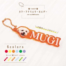 【名入れ】【カラーキーホルダー】選べるカラー6色　写真入り 名前入り オリジナル うちの子 ペット グッズ 送料無料