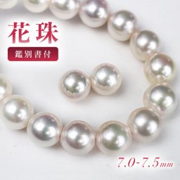 真珠 パール ネックレス ピアス パールネックレス 花珠真珠 アコヤ 安い 本物 レディース 2点セット イヤリング 結婚式 テリ 冠婚葬祭 留め具