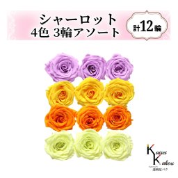 大地農園！プリザーブドフラワー「シャーロット 4色×3輪アソート 計12輪」「スウィートライラック ミモザイエロー フルーティオレンジ フレッシュグリーン」プリザ 花材 ハーバリウム おしゃれ ピンク バラ かわいい プレゼント 贈り物 オオチノウエン