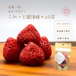 ”おまけ付き”妊婦さん子供のおやつに  フリーズドライ　"ふわっと越後姫"　4g×10袋