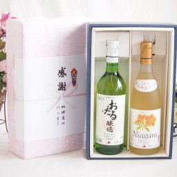 実りの秋の贈り物 感謝の贈り物ボックス おたる生葡萄100%ナイアガラワインと国産ワイン2本セット(北海道の詩 完熟ナイヤガラ白ワイン 甘口(北海道)720mlナイアガラ白ワイン やや甘口(北海道)720ml