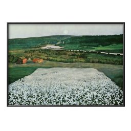 ハラルド ソールベリ 北の花畑 A3 サイズ ポスター アート おしゃれ 絵画 インテリア 北欧 イラスト マット紙 艶消し アートパネル 額 フレーム デザイン 壁掛け ギフト 新築祝い ディスプレイ 引越し祝い　新生活　空間デザイン 