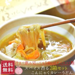こんにゃくカレーうどん箱＜2食入＞ ×3箱セット ダイエット 通販 料理 こんにゃく麺 ヌードル 蒟蒻 コンニャク 置き換え 食事 食品 こんにゃくラーメン なまため 福島 土産 国産 糖質 減量 祝 ギフト  低カロリー おやつ 母の日