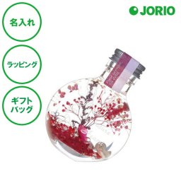 名入れ プリザーブドフラワー ハーバリウム S グリーン ブルー ピンク ガラス ラッピング ギフトバッグ プレゼント クリスマス 彼氏 彼女 カップル 誕生日 父の日 母の日 誕生日 夫婦 結婚祝い 敬老の日