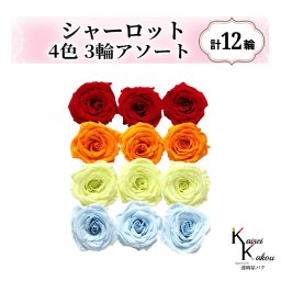 大地農園！プリザーブドフラワー「シャーロット 4色×3輪アソート 計12輪」「クイーンレッド フルーティオレンジ フレッシュグリーン ベビーブルー」プリザ 花材 ハーバリウム おしゃれ ピンク バラ かわいい プレゼント 贈り物 オオチノウエン