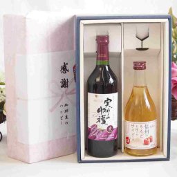 実りの秋の贈り物 感謝の贈り物ボックス 国産やや甘口赤ワインと国産ワインセット(信州のりんごを使ったワインです甘口(長野県)500mlヴィンテージ実りの収穫 赤ワイン720ml
