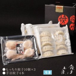 もっちり餃子30個+手羽餃子4本 ギフト 【MT-304】