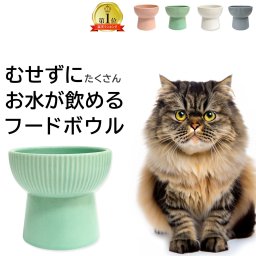 ☆脚付きフードボウル 犬猫用 陶器 300ml☆《Food Bowl》猫 犬 食器 高さがある【送料無料】
