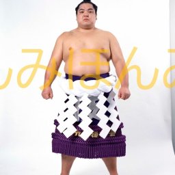 北勝海信芳関　優勝ミニ額 大相撲ミニ額 大相撲優勝額　平成３年３月場所 優勝 横綱 北勝海信芳関（８回目最後の優勝） ※受注生産品のため、ご注文後はいかなる理由でも返品、返金はできません