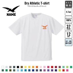 プテラノドン2  名入れドライTシャツ お名前入り 練習着 レディース メンズ ウェア トップス 運動着 スポーツウェア ジョギング 吸汗速乾 チームTシャツ クラスTシャツ UVカット ピクトグラム 恐竜　化石　肉食　草食　雑食　海　陸
