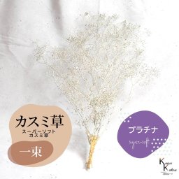 メール便で発送 「大地農園 スーパーソフトミニカスミ草 プラチナ 1束 」 ドライフラワー 花材 ハーバリウム 素材 小さいお花 アレンジメント ギフト 母の日 お誕生日 オオチノウエン プリザーブドフラワー プリザーブド プリザ かすみそう カスミ ハンドメイド