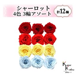 大地農園！プリザーブドフラワー「シャーロット 4色×3輪アソート 計12輪」「クイーンレッド レッド モーニングイエロー ベビーブルー」プリザ 花材 ハーバリウム おしゃれ ピンク バラ かわいい プレゼント 贈り物 オオチノウエン