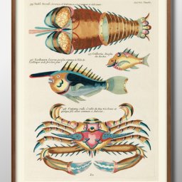海洋生物 ビンテージイラスト A3 サイズ ポスター アート おしゃれ 絵画 インテリア 北欧 イラスト マット紙 艶消し アートパネル 額 フレーム デザイン 壁掛け ギフト 新築祝い ディスプレイ 引越し祝い　新生活　空間デザイン 