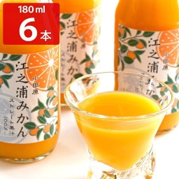 江之浦みかん 100％ストレート果汁 180ml 6本入 ギフトセット ジュース 国産 みかんジュース 温州みかん ストレート 柑橘 果汁 飲料【沖縄県・離島 配送不可】