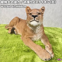 置物 お座りメスライオン 大 巨大オブジェ 横幅116cm woobia ウービア 大きい かわいい おしゃれ ガーデン インテリア オブジェ 可愛い プレゼント 北欧 玄関 雑貨 動物 モダン 面白い 庭 ギフト 屋外 家 リアル 玄関先 ガーデンオーナメント