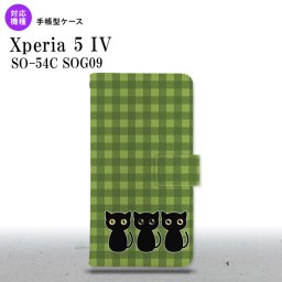 Xperia 5IV Xperia5IV 手帳型スマホケース カバー 猫 イラスト 緑 グリーン 2022年 10月発売 nk-004s-xp54-dr1140