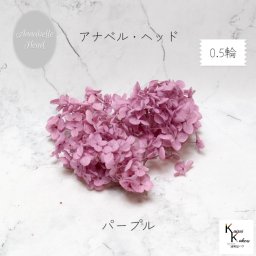 宅急便で発送 大地農園！プリザーブドフラワー 「ソフトアナベルアジサイ パープル 0.5輪分」 プリザ アジサイ 紫陽花 花材 ハーバリウム おしゃれ かわいい プレゼント 贈り物 オオチノウエン アナベルアジサイ・ヘッド