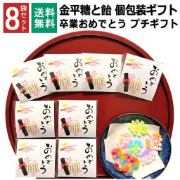 【8袋】卒業 おめでとう プチギフト お菓子 金平糖と飴の個包装 退職 個包装 ギフト 1000円ポッキリ プチプラ 感謝 こんぺいとう 飴 金平糖 お配り ありがとう メッセージ お礼 返し 転勤 異動 挨拶 大量 販促 会社 見舞 和風 飴菓子 送料無料
