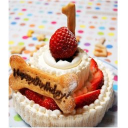 スペシャルな2段ショートケーキ☆ハッピーゴージャス【プレゼント】【ギフト】【贈り物】【内祝】【お祝い】【お誕生日】【ワンちゃん】【ペット】【ネコちゃん】【グルテンフリー】