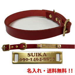 【名入れ無料】【送料無料】☆名入れタグ付首輪（本金塗装プレート+本革-赤）☆ペット用品 名入れ 首輪 名入れ無料 本革首輪