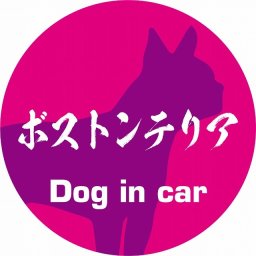 Dog in car ドッグインカー ステッカー カーステッカー ボストンテリア 毛筆書体 ピンクパープル シール 煽り運転対策 カーサイン