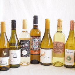 余韻に酔いしれるシャルドネ白ワイン9本セット(アルパカ ネセミヨン辛口Alc.12.5%(チリ) ノルテ スルAlc.13%(スペイン) デル スール辛口Alc.13%(チリ) ヴィーニャ サン エステバン クラシックAlc.13%(チリ) ソムリエAl