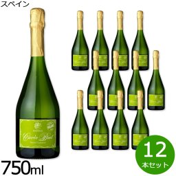 ロドリア キュヴェ・ブリュット スペイン産 辛口 白ワイン 金賞 メダル オーガニック ヴィーガン 750ml×12本
