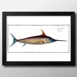 海洋生物 ビンテージイラスト A3 サイズ ポスター アート おしゃれ 絵画 インテリア 北欧 イラスト マット紙 艶消し アートパネル 額 フレーム デザイン 壁掛け ギフト 新築祝い ディスプレイ 引越し祝い　新生活　空間デザイン 