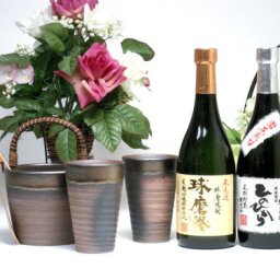 豪華酒器セット陶芸作家　安藤嘉規作（厳選熊本県米焼酎２本セット（球磨拳・ひのひかり）　720ｍｌ×２本 ）