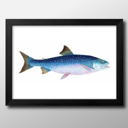 海洋生物 ビンテージイラスト A3 サイズ ポスター アート おしゃれ 絵画 インテリア 北欧 イラスト マット紙 艶消し アートパネル 額 フレーム デザイン 壁掛け ギフト 新築祝い ディスプレイ 引越し祝い　新生活　空間デザイン 