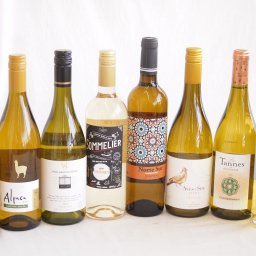 余韻に酔いしれるシャルドネ白ワイン8本セット(カールユング やや辛口Alc.0.5度未満%(ドイツ) アルパカ ネセミヨン辛口Alc.12.5%(チリ) ノルテ スルAlc.13%(スペイン) デル スール辛口Alc.13%(チリ) ヴィーニャ サン エ