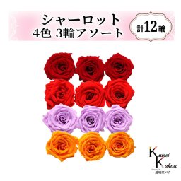 大地農園！プリザーブドフラワー「シャーロット 4色×3輪アソート 計12輪」「クイーンレッド レッド スウィートライラック フルーティオレンジ」プリザ 花材 ハーバリウム おしゃれ ピンク バラ かわいい プレゼント 贈り物 オオチノウエン