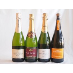 スパークリングワイン白辛口豪華4本セット エレタット・エル・パドルウェル カヴァ ブリュット 白（スペイン） 辛口750ml・ポ