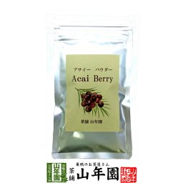 【山年園限定】アサイーパウダー 粉末 40g アサイーベリー ブラジル産 ノンカフェイン スーパーフード アサイベリー サプリ セット ギフト プレゼント 敬老の日 プチギフト お茶 2026 内祝い お返し