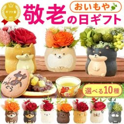 【まだ間に合う】 敬老の日 すぐ贈れるギフト 即日発送 誕生日 プレゼント ギフト 退職祝い 卒業祝い 花とお菓子 花 プリザーブドフラワー 犬 フラワーアレンジメント かわいい おしゃれ ペット バラ 薔薇 一輪 アニマル 動物 ミニ 置き物 送料無料 スイーツ お菓子 和菓子 ギフトセット もらって嬉しい センスがいい おしゃれ  3000円 40代 50代 60代 70代