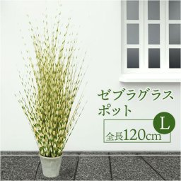 フェイクグリーン ゼブラグラス 通販 フェイク グリーン 人工観葉植物 インテリアグリーン イミテーショングリーン インテリアプランツ 人工樹木 ポット 鉢植え アーティフィシャルグリーン 人工植物 おしゃれ リビング 寝室 インテリア雑貨 GLA-1396