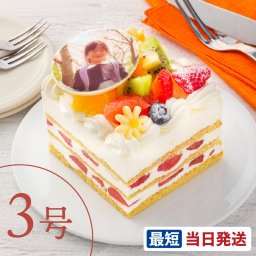 写真ケーキ フルーツいっぱいショート 3号 9cm×9cm