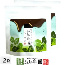 【国産紅茶】チョコミントの和紅茶 10g(2g×5パック)×2袋セット 静岡県産紅茶 チョコミントティ 国産紅茶 日本茶 チョコミントティーバッグ 紅茶 ティーパック ダイエット ギフト プレゼント 内祝い お返し お歳暮 プチギフト 2026 お茶 お祝い