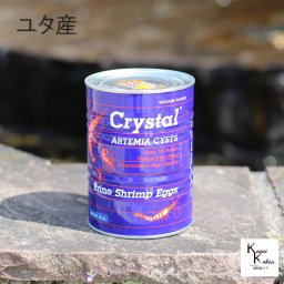 「 ブラインシュリンプ　ユタ産 　200ｇ」　ブラインシュリンプ エッグ　魚のえさ　稚魚用飼料　アルテミア 卵  孵化率90％以上 アルテミア たまご 観賞魚用飼料 熱帯魚 OSI-139