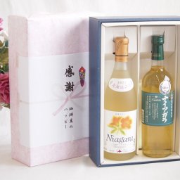 実りの秋の贈り物 感謝の贈り物ボックス プレミアムなナイアガラワインと国産ワインセット 長野県産葡萄使用 ナイアガラ白ワイン やや甘口(山梨県)720mlおたる完熟ナイアガラ甘口白ワイン720ml
