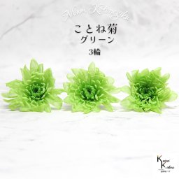 大地農園　「ことね菊 グリーン 3輪」　プリザーブドフラワー　プリザ　ハーバリウム　小花 ドライフラワー ハーバリウム アロマワックスバー