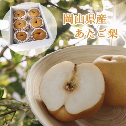 ギフト 誕生日 プレゼント フルーツ ギフト梨 【あたご梨 4kg 5から6玉】 岡山県産 食べ物 果物