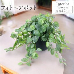 フェイクグリーン フィトニア 通販 フェイク グリーン 人工観葉植物 インテリアグリーン イミテーショングリーン インテリアプランツ 人工樹木 ポット 鉢植え アーティフィシャルグリーン 人工植物 おしゃれ リビング 寝室 インテリア雑貨 GLA-1519